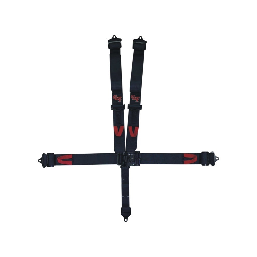 6000 L&L 5-Point PD Harness