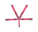 7000 Cam-Lock 5-Point PD Harness