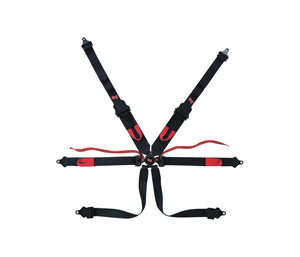 7601 Cam-Lock 6-Point 3/2" PD Harness