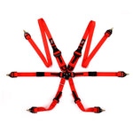7623 Endurance 3+2 PD FIA Harness (2030)