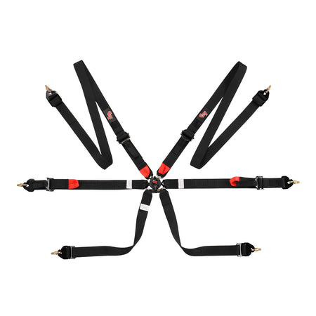 7624 Endurance 2 FIA Harness (2030)